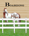 Boarding