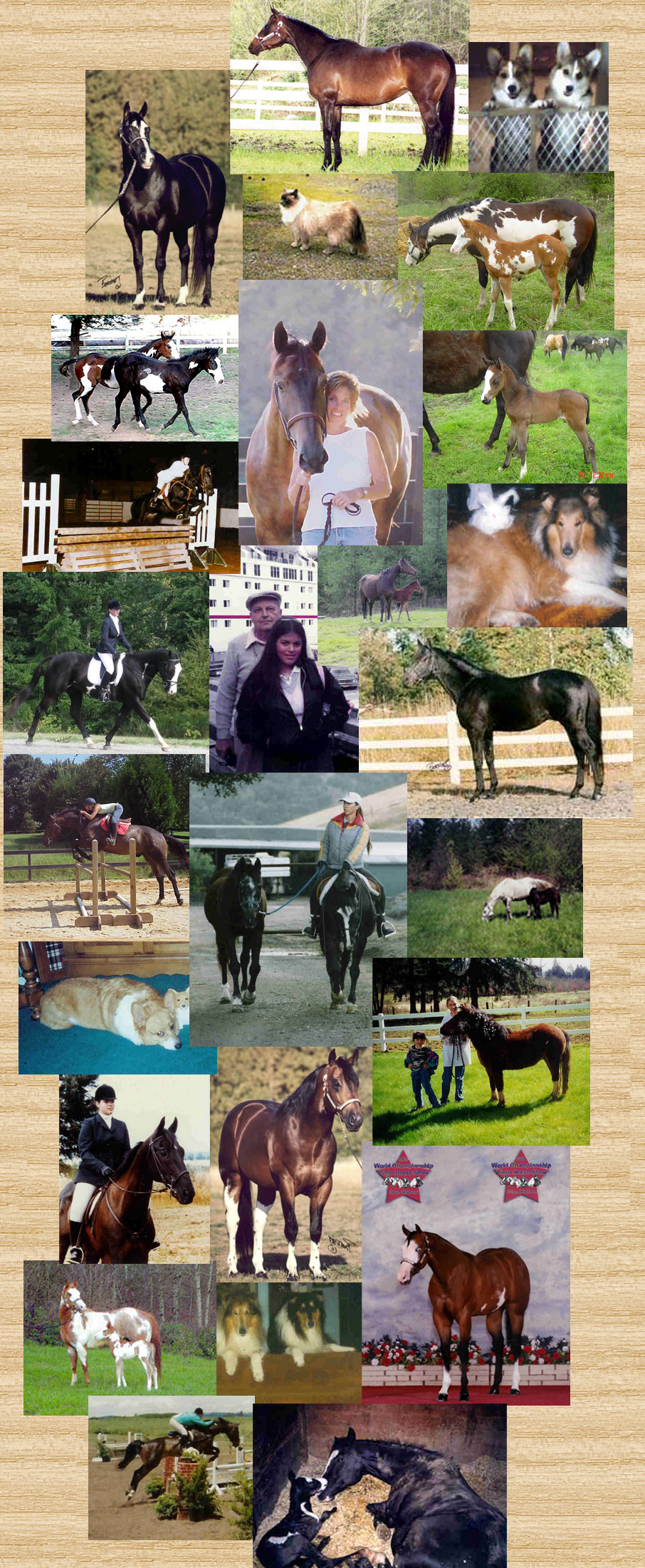 Recollections Collage 2009
